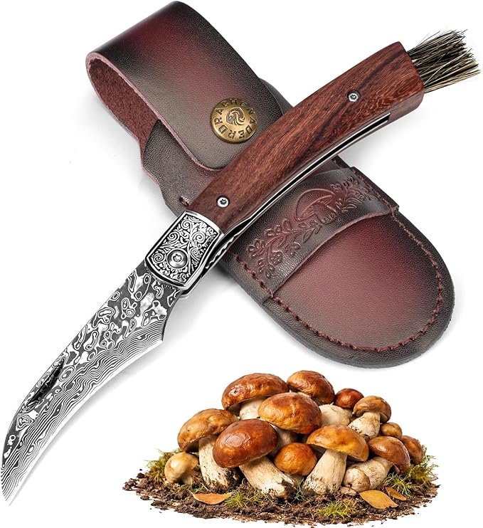 DRACHENADER Mushroom Knife with Brush Folding Foraging Knife with VG10 Damascus Steel Blade Curved Blade Mushroom Harvesting Knives with Leather Sheath for Camping