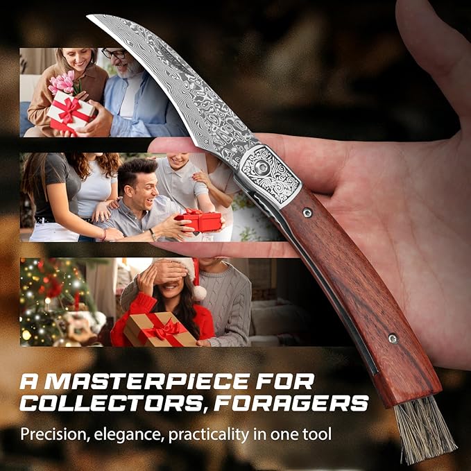 DRACHENADER Mushroom Knife with Brush Folding Foraging Knife with VG10 Damascus Steel Blade Curved Blade Mushroom Harvesting Knives with Leather Sheath for Camping