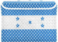 Honduras Flag Honduran National Blue Storage Containers with Lids Stackable Tote Storage Storage Box with Lids for