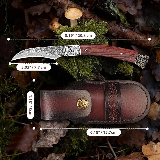 DRACHENADER Mushroom Knife with Brush Folding Foraging Knife with VG10 Damascus Steel Blade Curved Blade Mushroom Harvesting Knives with Leather Sheath for Camping