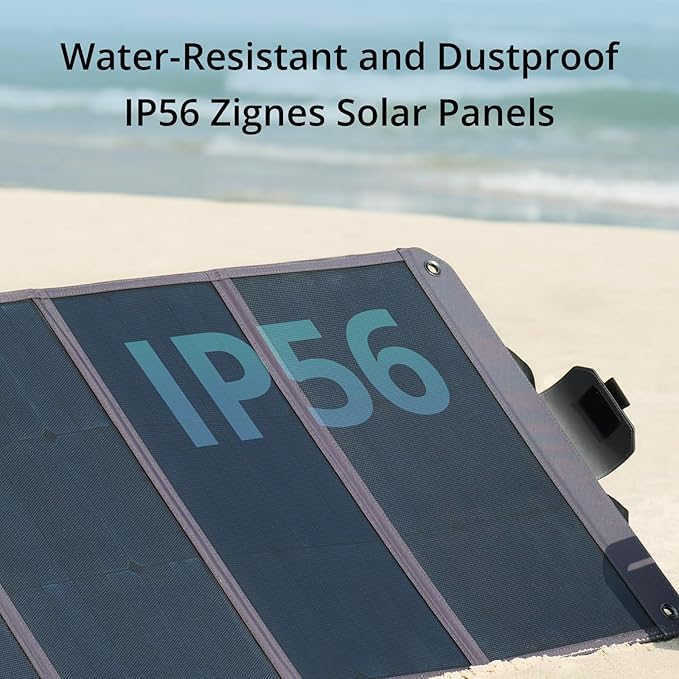 Zignes 100W Solar Panel