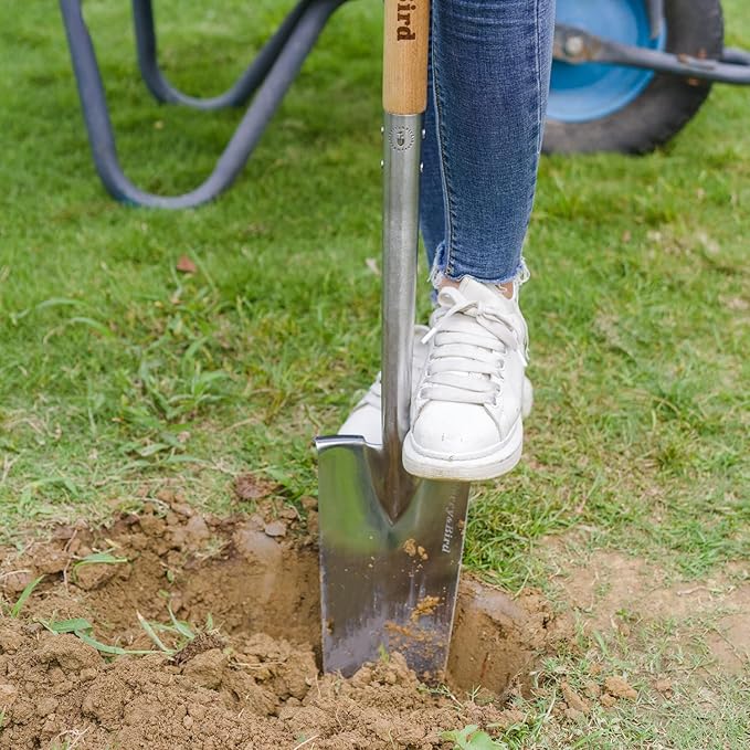 Berry&ampBird Trenching Shovel Garden Drain Spade Shovel with Wood Handle 42.5 Stainless Steel Gardening Planting Spade Heavy Duty Root Cutter Shovel Trench Shovel for Digging Transplanting &amp