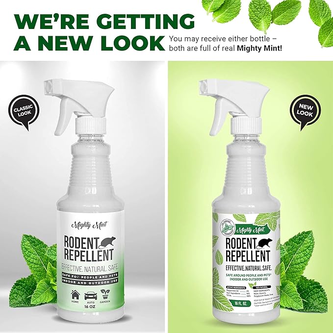Peppermint Oil Rodent Repellent Spray and Concentrate - Makes 1 Gallon
