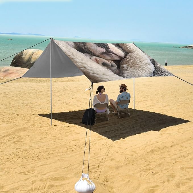 ALAZA French Bulldog Puppy Sleeping in A Soft Blanket Beach Tent Sun Shelter Portable Canopy Sunshade for Outdoor Camping Picnics Backyard Fun 10x9 ft