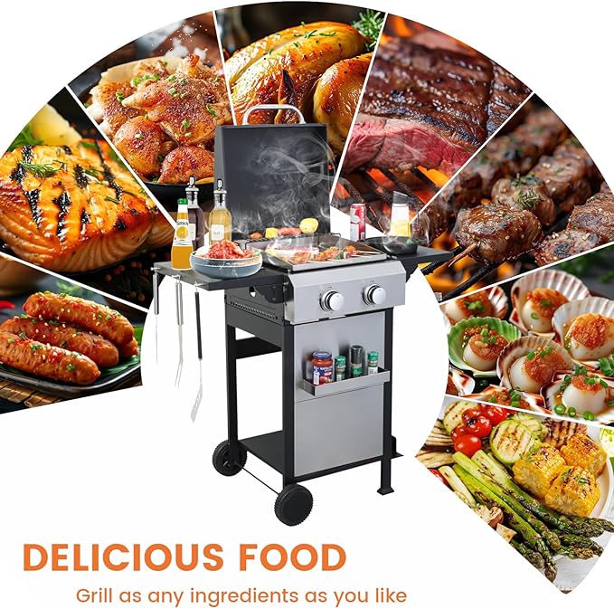 2-Burner Propane Gas BBQ Grill SS Plancha 24600BTU Stainless Steel Barbecue Grill With Wire Enamel Cooking Grids Foldable Side Table for Outdoor Camping (Style9: 2-Burner with SS Plancha)