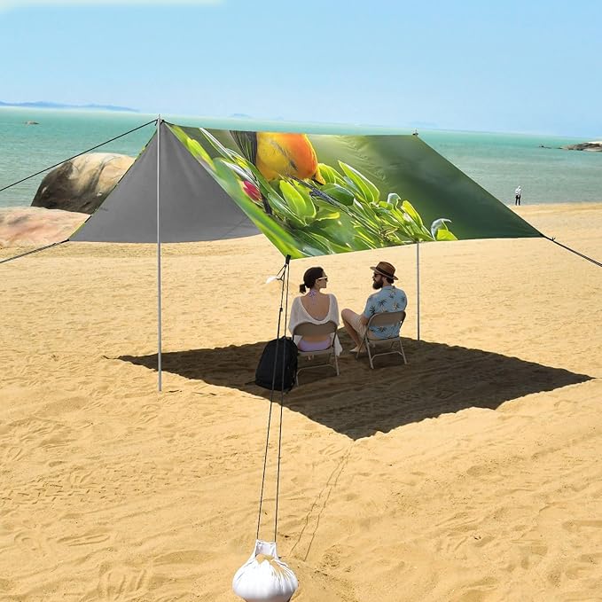 Beautiful Hummingbird Beach Tent Sun Shelter Set UPF50+ UV Protection 10.5 x 9.19 FT Camping Shade Canopy with Sandbags Sand Anchors Carrying Bag and Others