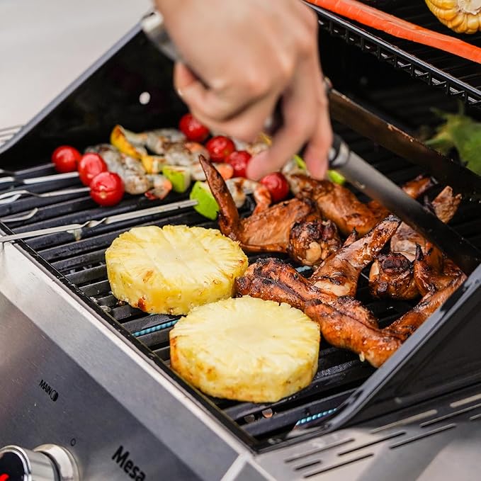 Monument Grills 2-Burner Stainless Steel Liquid Propane Gas Grill Two Foldable Shelves Patio Garden Barbecue Grill with Clearview® Lid Knob Control Mesa200S