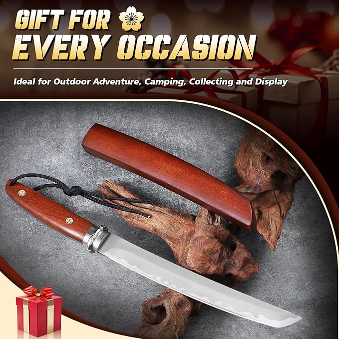 Dragon Creek Fixed Blade Knife - Plain Outdoor Survival Knife with Wooden Sheath Full Tang Handle for Camping Hiking Gift Men