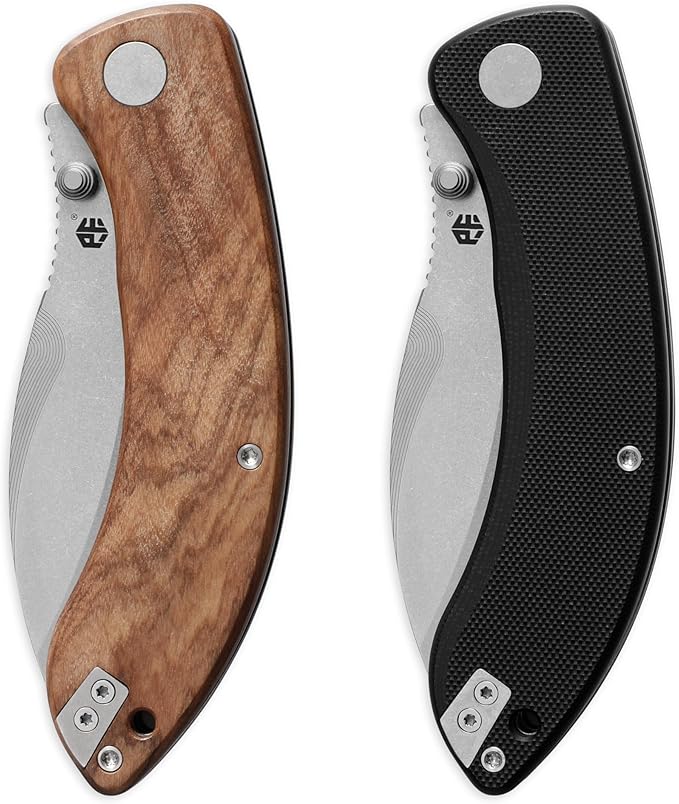Petrified fish PFB06 Zonda Folding Knife3.74 14C28N Steel Black Stonewashed Blade G10 Handle Folding knife for EDC Camping Outdoor (Black Black Stonewashed)