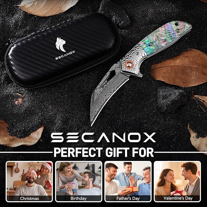 Damascus Pocket Knife for Women 2.95 Sharp Damascus Steel Blade Abalone Shell Handle EDC Folding Knives for Camping Hiking