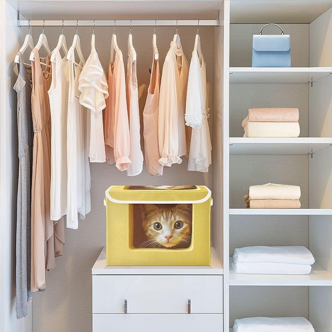 Storage Cube with Lid Curious Cat Print 16.5×12.6×11.8 IN Collapsible Large Capacity Foldable Storage Basket Bin Organizer