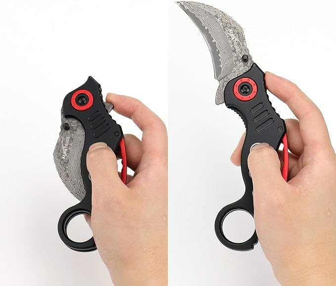 ALBATROSS EDC Cool Spring Assisted Folding Pocket Knives Tactical Sharp Raptor Claw Knife (Black/Damascus)