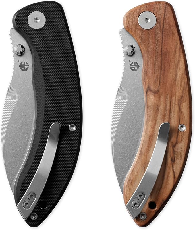 Petrified fish PFB06 Zonda Folding Knife3.74 14C28N Steel Stonewashed Blade G10 Handle Folding Pocket Knife for EDC Camping Outdoor (Black Stonewashed)