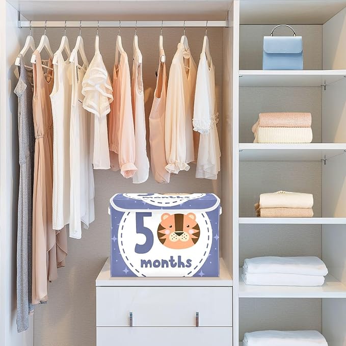 5_months Storage Box with Lid Collapsible Cube Storage Shoe Boxes with Lids for Dorm Room Dormroom Storage