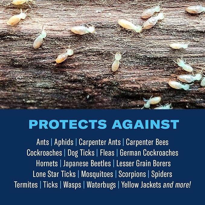 BioAdvanced Carpenter Ant &amp Termite Killer Plus Ready-to-Use 1 Gal Listed Insect Killer Bug Spray for Home