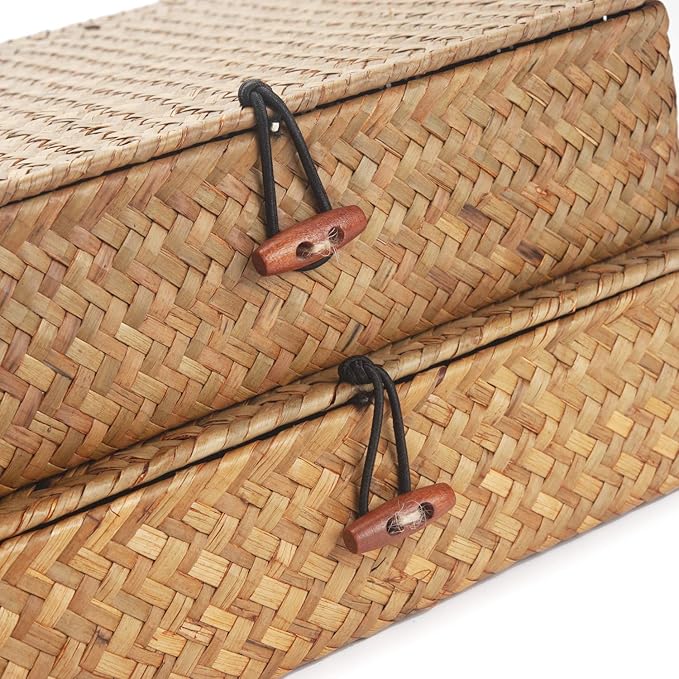 DOKOT Flat Seagrass Storage Bins with Lid Wicker Basket for Shelf Organize Set of 2 (Small+Large)