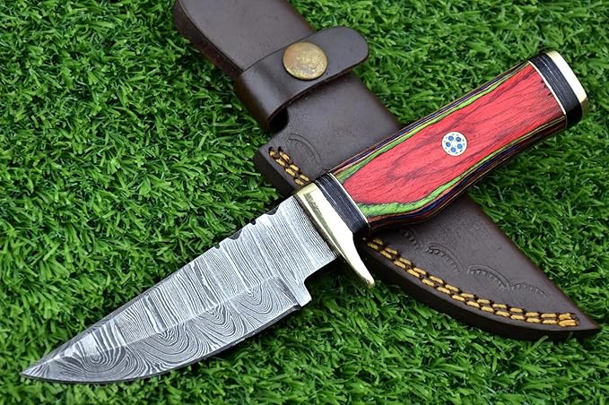 8-Inch Hand-Forged Damascus Steel Hunting Knife Fixed Blade Skinning Design with Leather Sheath Multicolor Wood Handle Brass Guard Twist Pattern Blade for Camping (Red/Green)
