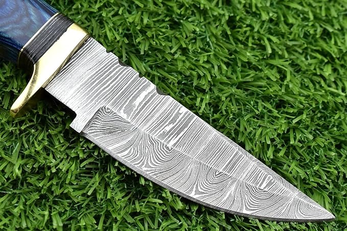 8-Inch Hand-Forged Damascus Steel Hunting Knife Fixed Blade Skinning Design with Leather Sheath Multicolor Wood Handle Brass Guard Twist Pattern Blade for Camping (Blue)