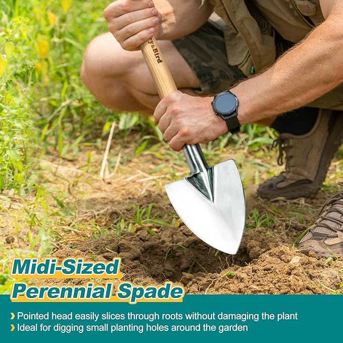 Berry&ampBird Perennial Spade 21.6''Long Trowel for Gardening Root Cutting Tool with Sharp Stainless Steel Blade Wooden Handle Small Shovel Hand Edger Garden Tool for Planting Digging &amp Transp