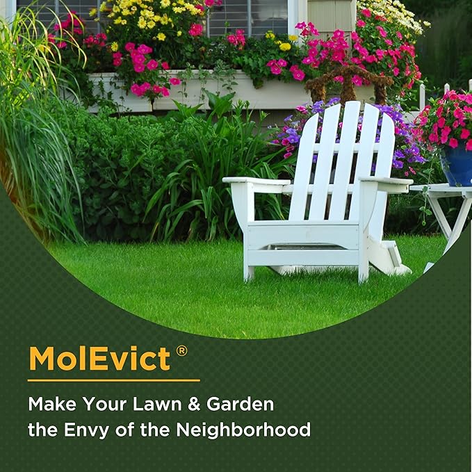 Baar Products - MolEvict Lawn Mole Castor Oil - Mole &amp Vole Repellent - Lawn &amp Garden Protection - Up to 5000 Sq. Ft. of Coverage - Safe for Use Around House &amp Plants - 32 Ounces