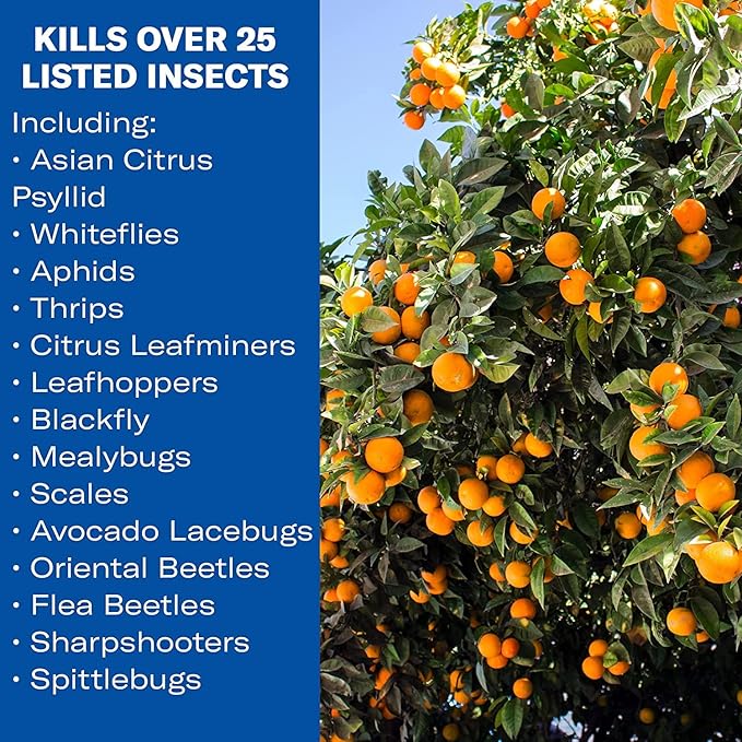 BioAdvanced Fruit Citrus &amp Vegetable Insect Control for Edible Gardening Concentrate 32 Oz with BioAdvanced Fruit &amp Citrus Tree Concentrate 32 oz