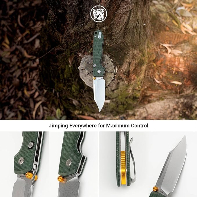 Vosteed Raccoon2.0 Bowie Blade EDC Knife - 3.25 14C28N Steel Micarta Handle Top Liner Lock - Outdoor Camping Hunting - A2911