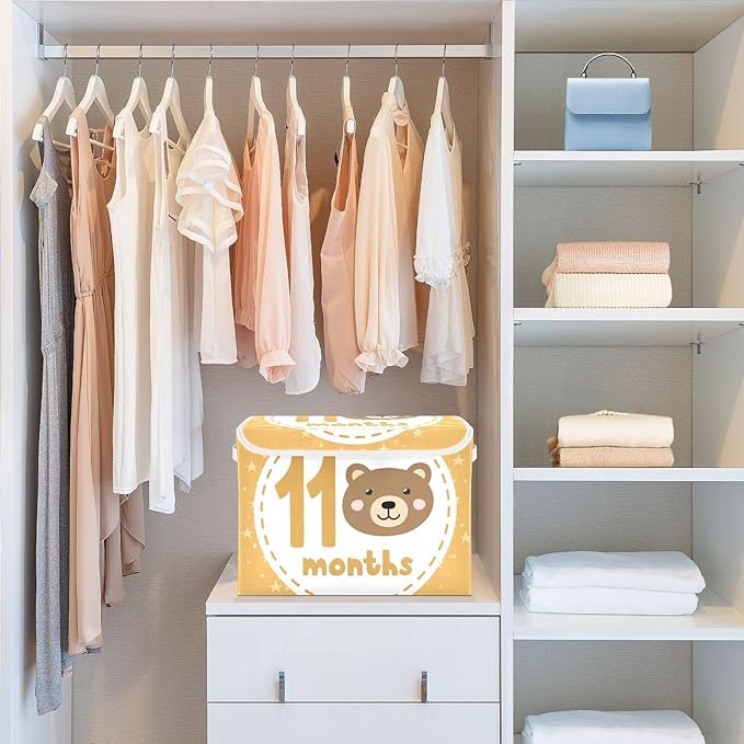 11_months Storage Boxes with Lids Foldable Shoe Storage Storage and Organization for Home Studyroom Office Basket