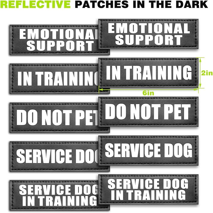 WINSEE Service Dog Vest Harness for Medium Dog Tactical Working MOLLE Vest with 10 Pet Patches No Pull Heavy Duty Harness for Training Walking