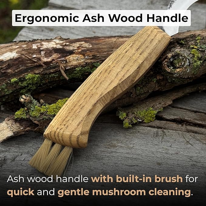 Sharky Mushroom Knife with Leather Sheath