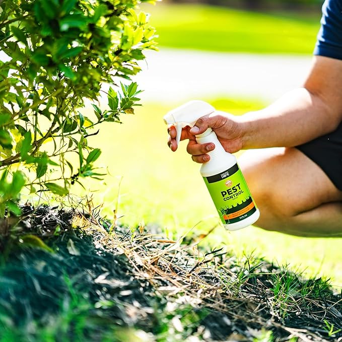 Nature’s Dome Pest Control Spray 32 Oz | 100% Natural Ant Killer &amp Bug Spray for Indoor &amp Outdoor Use | Eco-Friendly Bug Spray for Flea Ticks Ant &amp Mosquitos | Safe for Pets and Kids