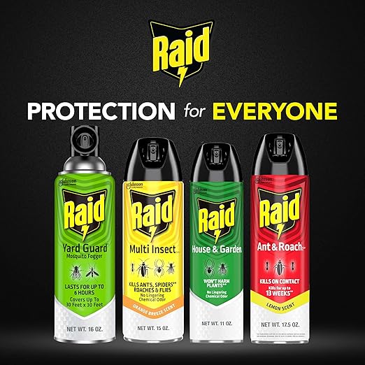 Raid Multi Insect Killer Aerosol Kills Ants Spiders Roaches and Flies No Lingering Chemical Odor Indoor and Outdoor Use 15 Ounce (Pack of 2)