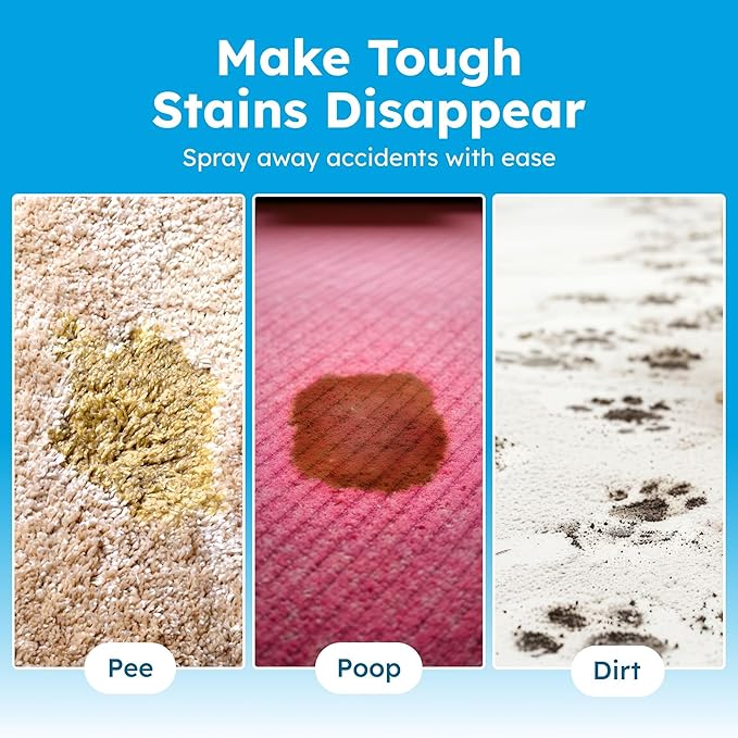 BugMD Essential Pest Control Starter Kit + BugMD Pet Odor &amp Stain Remover – Natural Pest Control + Family &amp Pet Safe Enzyme Cleaner – Kill Ants Roaches Spiders &amp Eliminate Pet Stains &am