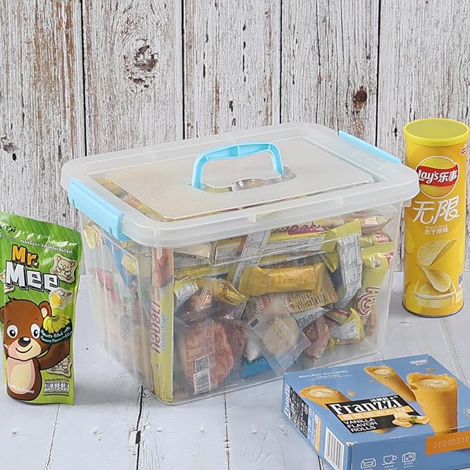 12 L Plastic Storage Bin with Lid Clear Transparent Box with Handles Set of 1