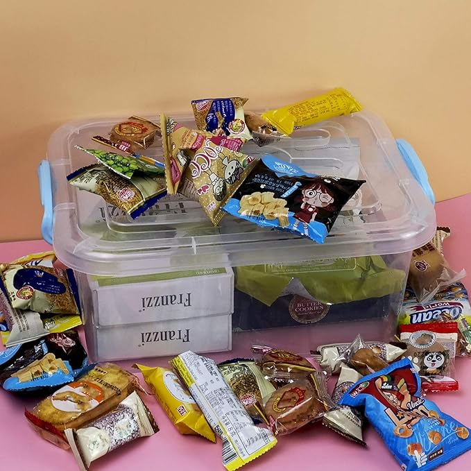 8 Quart Plastic Storage Container with Lid and Handles 2 Packs