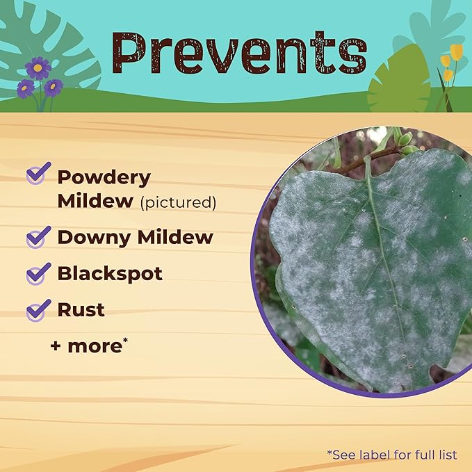 Bonide Captain Jack's Rose Rx 4-in-1 Insect &amp Disease Control 16 oz Concentrate Neem Oil for Organic Gardening