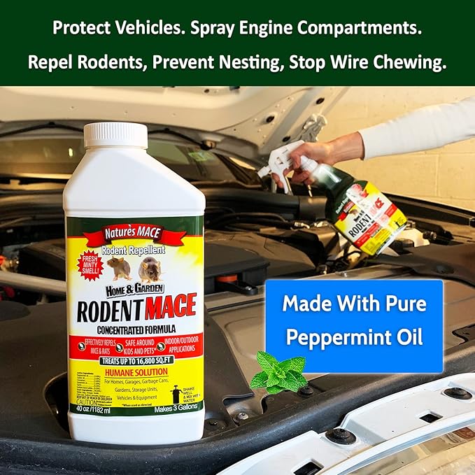 Nature’s MACE Rodent Repellent 1 Gal Concentrate Covers 87000 Sq Ft Rodent Repellent Outdoor Keep Rodents Out of Home Garage Attic Peppermint Spray Blend for Rodents Safe Around Kids &amp Pets