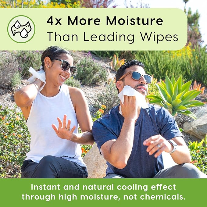 Alcala Deodorizing Body Wipes Individual Shower Wipes 100% Pure Biodegradable Bamboo Wet Wipes with Aloe Tea Tree Adult Body Wipes for Women &amp Men Ideal for Camping Hiking Hospitals &amp Gym (30