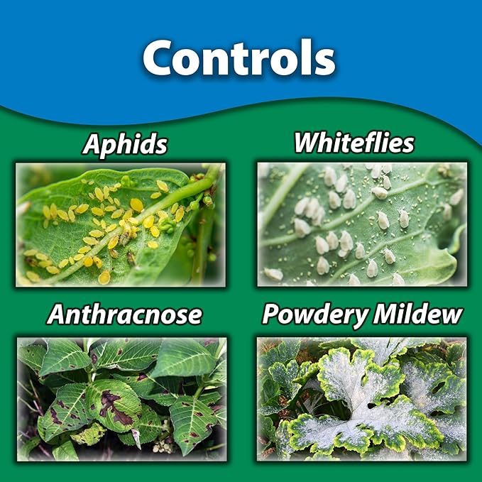 Monterey Neem Oil RTU – 32oz Fungicide/Insecticide/Miticide – Controls Black Spot Powdery Mildew Rust Spider Mites Aphids and More – Bunded with Garden Measure Spoon