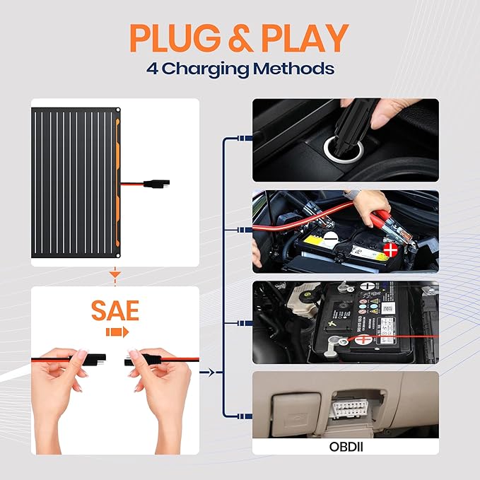 FlexSolar 20W 12V Solar Panel Battery Charger Maintainer Kits Trickle Charger with Built-in Charge Controller Cigarette Lighter Alligator Clips O-Rings OBDII Connector for Car TruckTractor Boat
