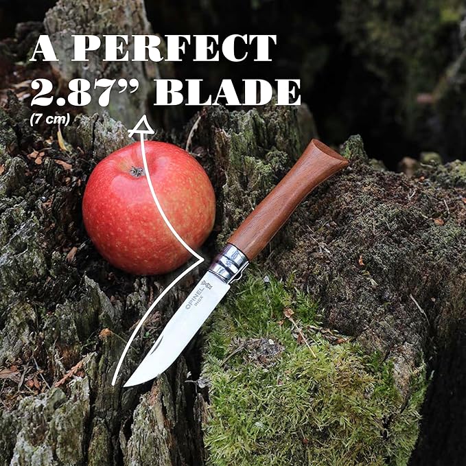 OPINEL No.06-No.09 Premium Woods Stainless Steel Folding Pocket Knife Made in France (No.06/Walnut)