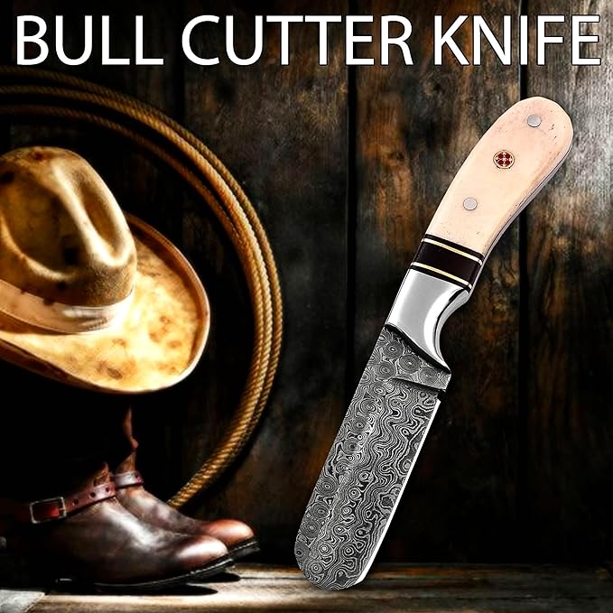 Handmade Damascus Steel Bull Cutter with Pancake Leather Sheath Fixed Blade Cowboy Knife with Bone/Walnut Handle Utility EDC Hunting Knife (Camel Bone)