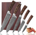Wakoli EDIB 5-Piece Damascus Knife Set Professional Kitchen Knives made of 67-Layer Damascus Steel with VG10 Core Blades Ergonomic Pakkawood Handles In Wooden Gift Box