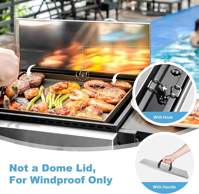 GREEN PARTY 2 Burner Griddle Grill Combo 2 in 1 Propane Gas BBQ Grill w/Cast Iron Plate 20000 BTU Output Small Flat Top Propane Barbecue Grill for Camping Patio Backyard Balcony