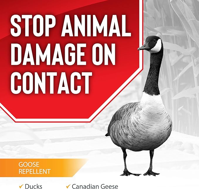 Goose Stopper Liquid Animal Stopper Repellent All Natural Effective All Year Round Safe for People and Pets No Harsh Chemicals Ready to Use Goose Repellent - 32. oz