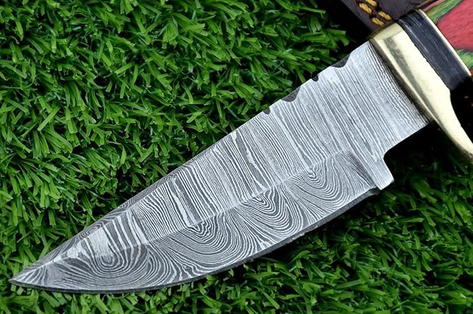 8-Inch Hand-Forged Damascus Steel Hunting Knife Fixed Blade Skinning Design with Leather Sheath Multicolor Wood Handle Brass Guard Twist Pattern Blade for Camping (Red/Green)