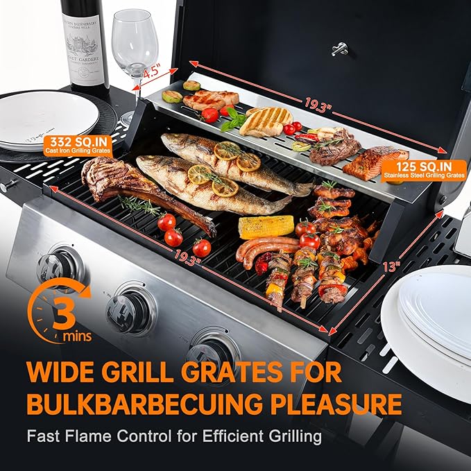 2 and 1 Burner Propane Gas Grill Stainless Steel BBQ Grill 31000 BTU for Outdoor Cooking Kitchen Garden and Patio Backyard Barbecue Black and Silver