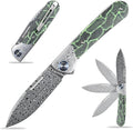 Sitivien ST256 Damascus Steel Folding KnifeDamascus Blade with Colorful G10 Handle EDC Knife for Outdoor CampingHiking Fishing(Green) … …