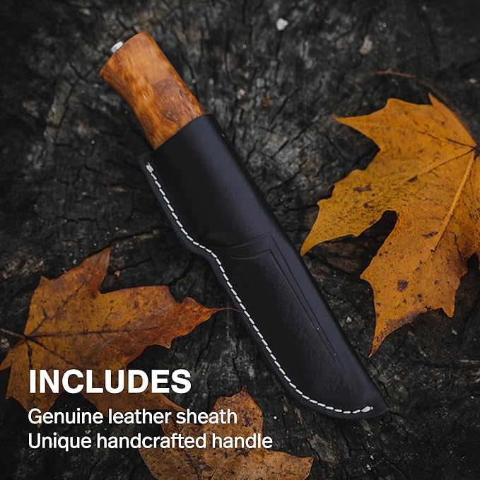 HELLE Knives - Eggen Stainless Steel - Outdoor Camping Knife Stick Tang Fixed Blade with Sheath Curly Birch Handle Made in Norway