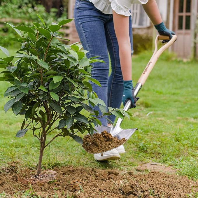 Berry&ampBird Round Point Gardening Shovel with Wood D-Handle 40.98 Stainless Steel Beach &amp Snow Shovel