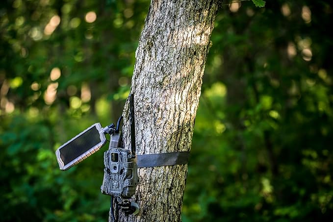 Stealth CAM Durable Sol-Pak Solar Battery Pack 12V Solar Power Panel Rechargeable Battery &amp 10ft Insulated Cable Compatible with All Wireless/Cellular Trail Cameras - 3000 mAh